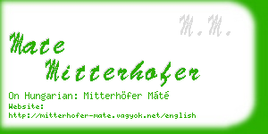mate mitterhofer business card