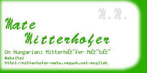mate mitterhofer business card
